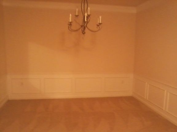 3rd image of 7901 Seminole Blvd APT 1105