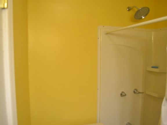 4th image of 172 James St