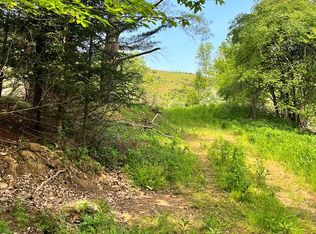 404 Shippys Branch Rd, Mouth Of Wilson, VA 24363