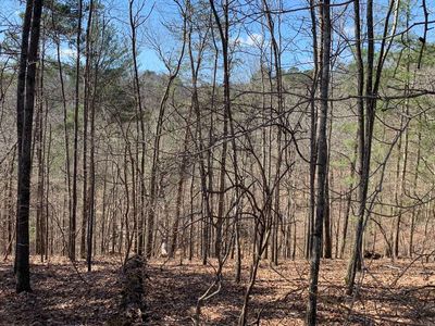 576 Galaxy Way NE, Ranger, GA, 30734