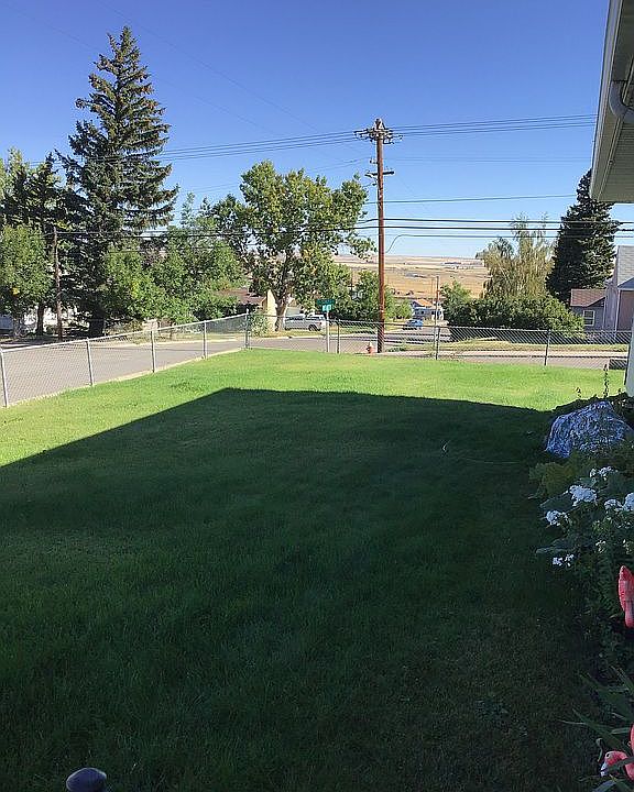 Watch the Northern Lights 