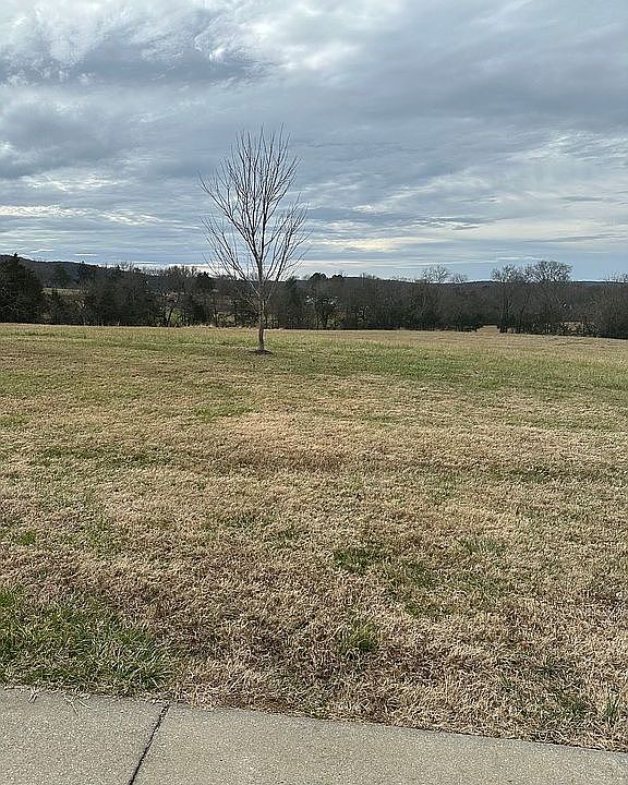 2nd image of 12400 Lascassas Pike