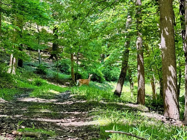 8.53 acres Marquette Drive #2, Mcgregor, IA 52157