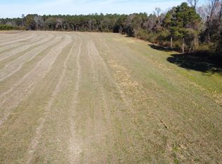 Highway 917, Nichols, SC 29581