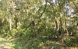 1st image of Mary Avenue Fernandina Beach Amelia Is