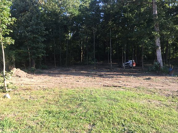 Clear underbrush near creek