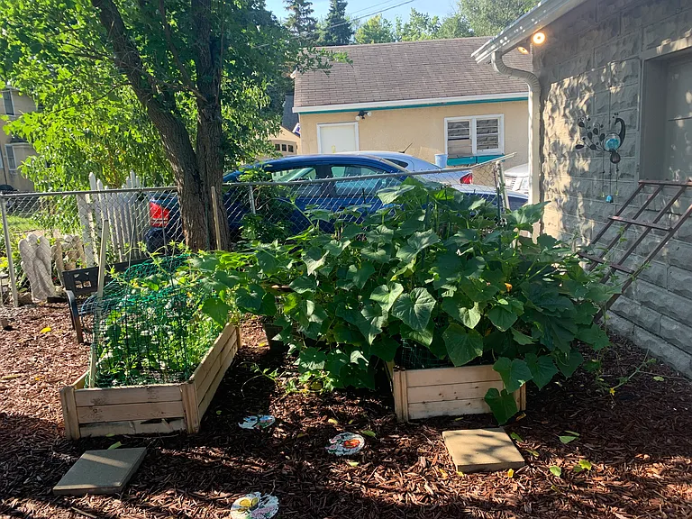 Shared garden space