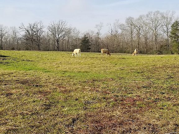 3rd image of County Road 121