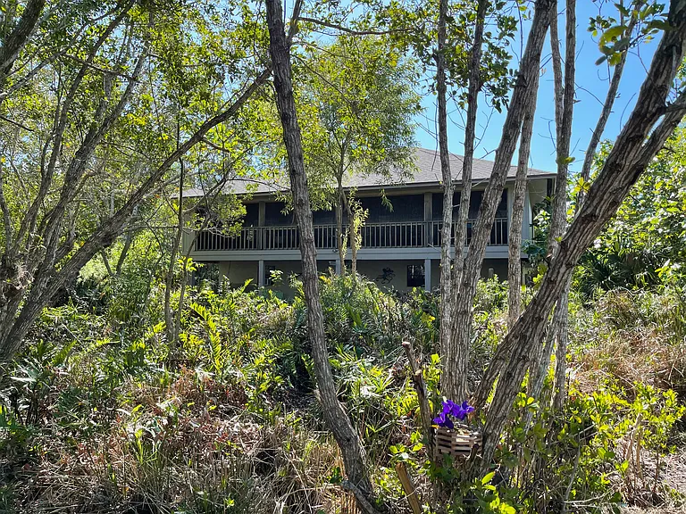 983 Black Skimmer Way — Photo 17