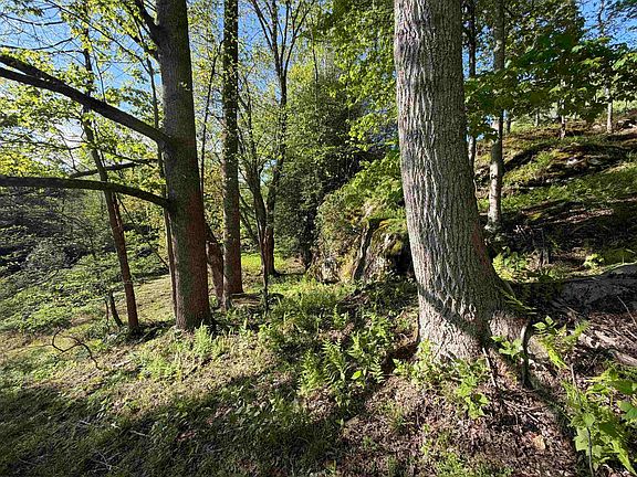 35th image of 2494 Seng Run Rd