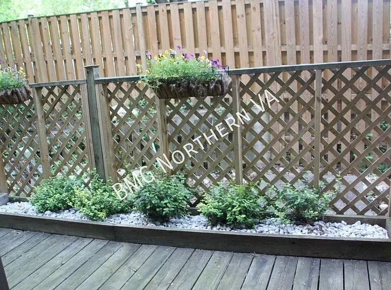 2107C N Rolfe St — Photo 14