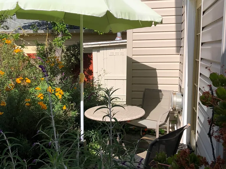 Patio and garden