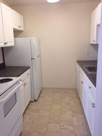 Updated Kitchens
