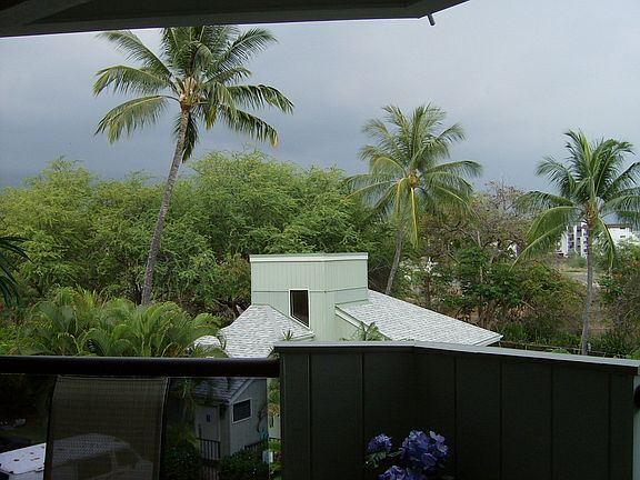 Rec Room, Pool below Palms