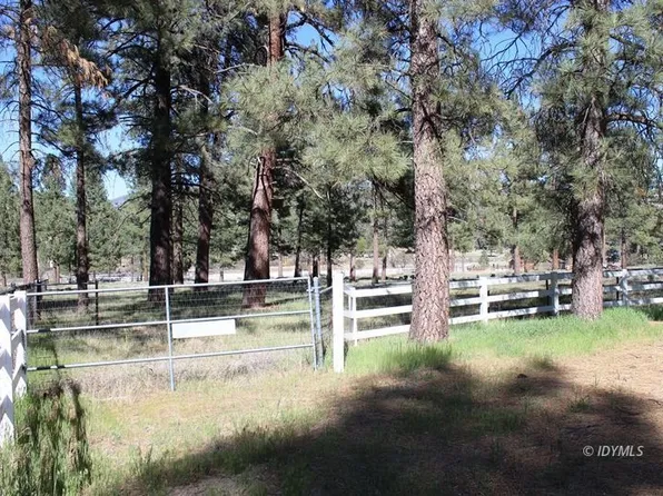 59250 Tunnel Spring Rd, Mountain Center, CA 92561