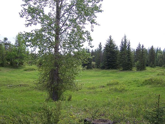 2nd image of 93 Nhn Hwy
