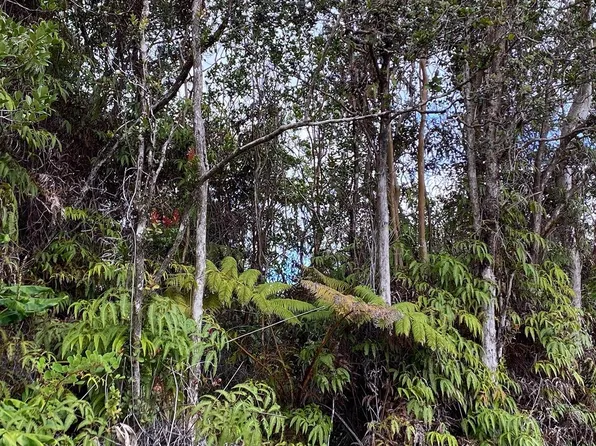 11-3032 Anuhea St Lot 184, Volcano, HI 96785