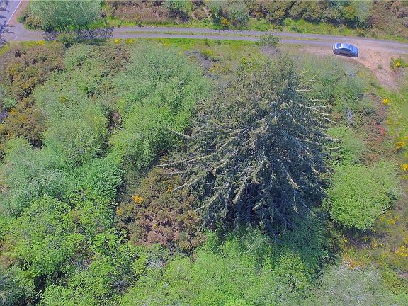 3rd image of 0 N On Oysterville Rd @cemetery Rd