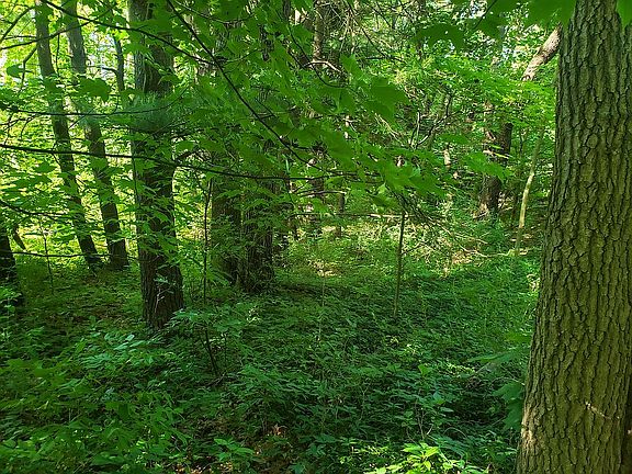 5th image of 1315 Buth Dr NE