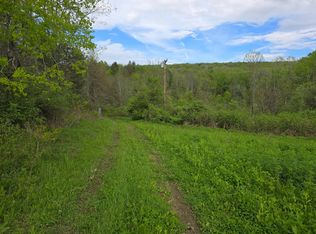 344 Whaupaunaucau Rd, Norwich, NY 13815