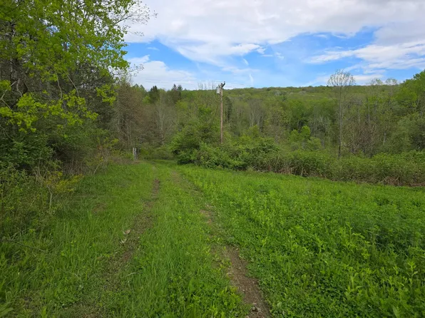 344 Whaupaunaucau Rd, Norwich, NY 13815