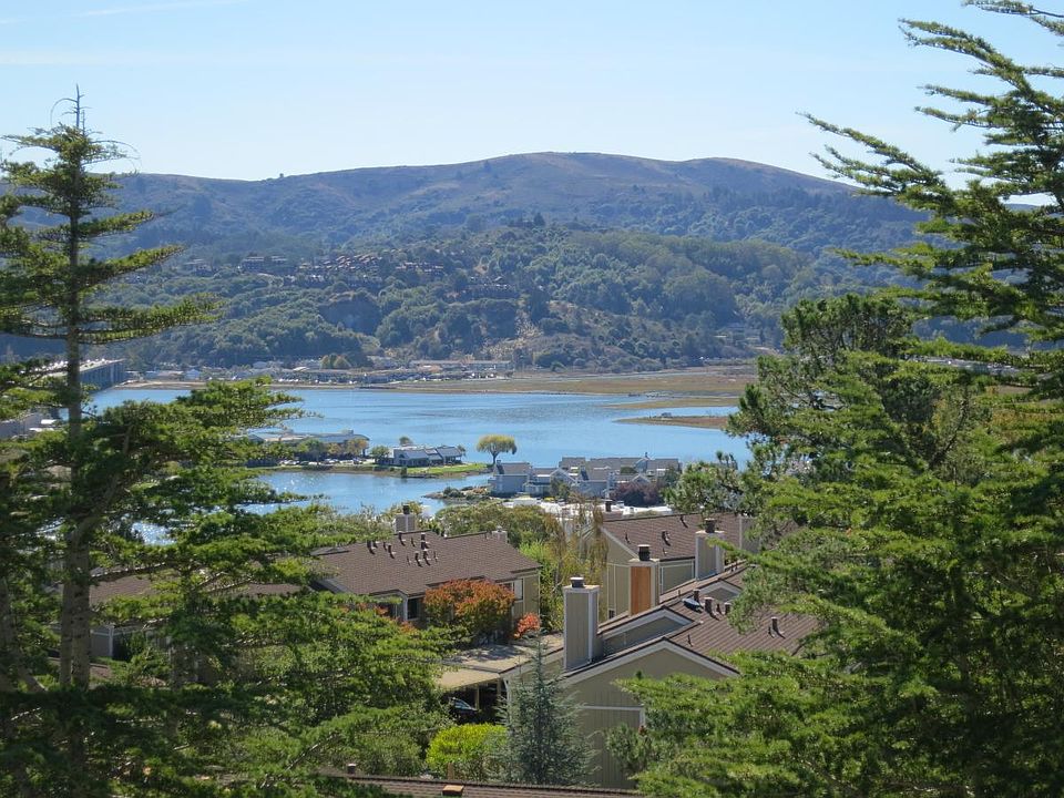 Stunning views of Mill Valley