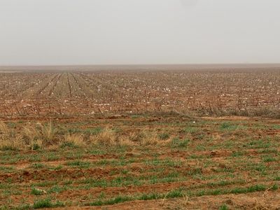 5 Reed Ave, Slaton, TX, 79364