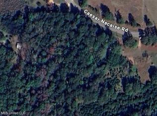 0 Caesar Necaise Rd, Perkinston, MS 39573