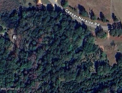0 Caesar Necaise Rd, Perkinston, MS, 39573
