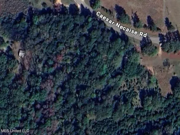 0 Caesar Necaise Rd, Perkinston, MS 39573