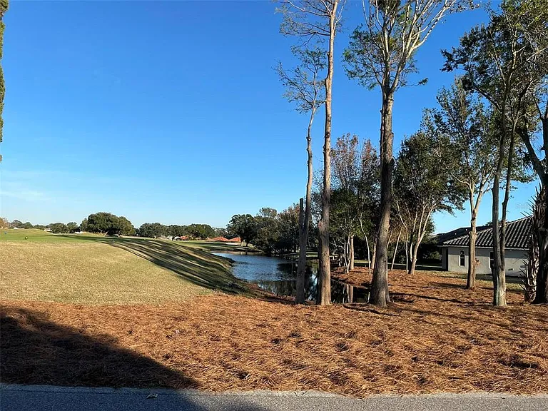17708 Sawgrass Run — Photo 55