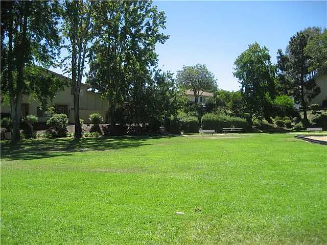 8067 Camino Kiosco — Photo 5