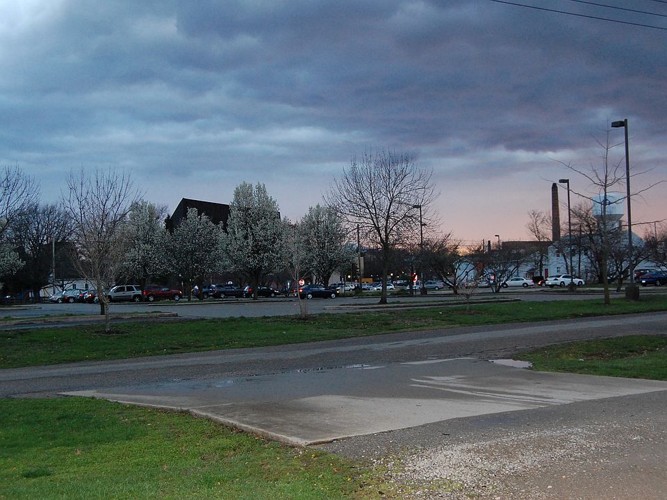 Out looking view
