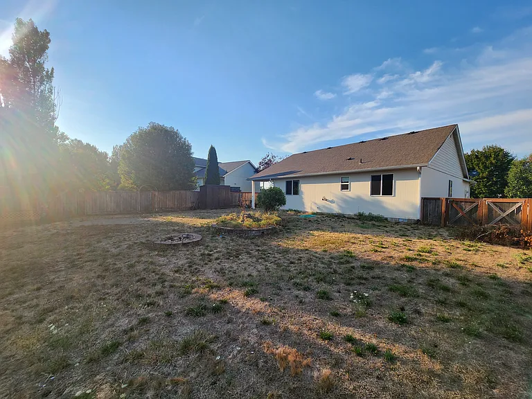 Back yard