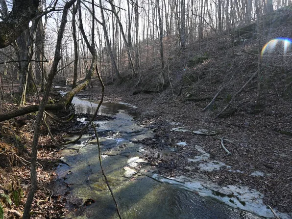 0 Marsh Creek Rd Lot 2, Linden, TN 37096