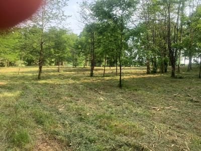 Turner Ridge Rd, Neave, KY, 41040