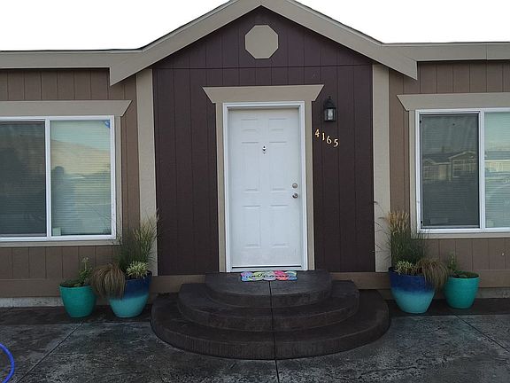 Stamped & Dyed Circular Driv