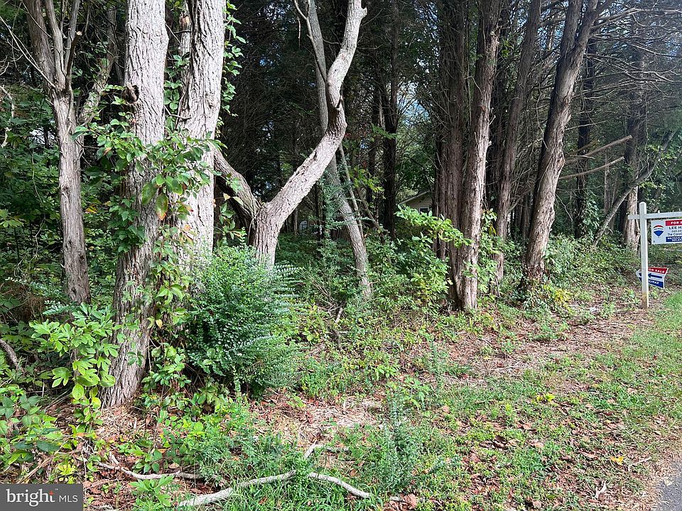 2nd image of LOT 58 Bay Dr