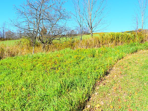 2nd image of State Route 492