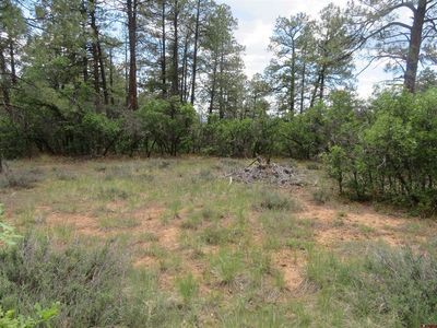 710 Doc Adams Road, Pagosa Springs, CO, 81147