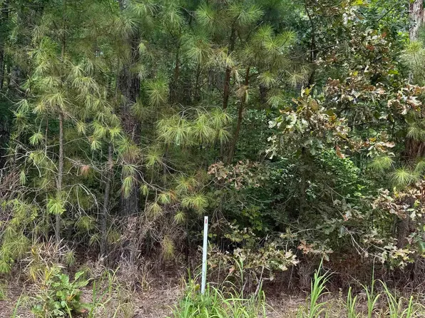Boat Ramp Rd Lot 1, Hertford, NC 27944