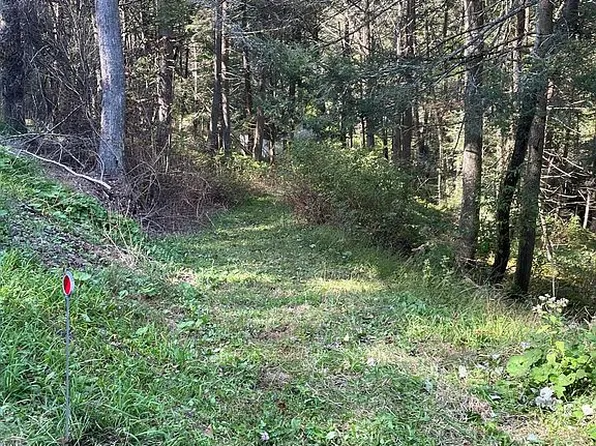 1465 Horn Hill Rd, Hughesville, PA 17737