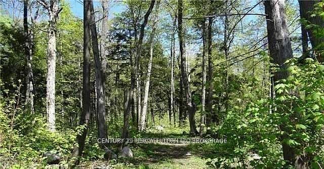 2nd image of 95 Nippissing Ridge Rd