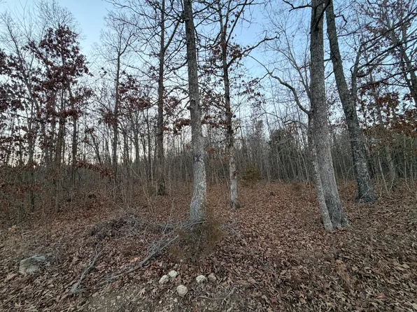 000 County Road 204, Alton, MO 65606