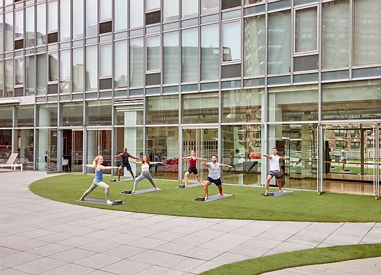 Rented by Two Trees | media 40