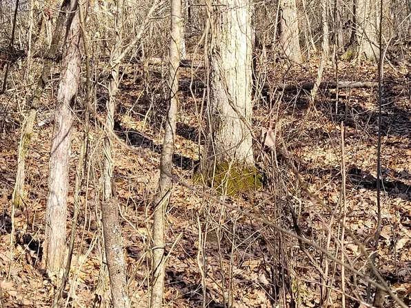 5--1 Three #5, Corinth, KY 41010