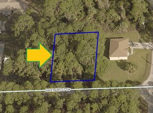 409 Haleybury St SW, Palm Bay, FL 32908