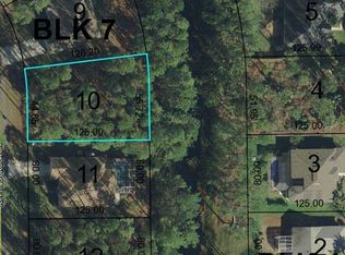 33 Rippling Brook Dr, Palm Coast, FL 32164