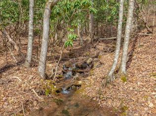 8 N Sunset Ln, Bland, VA 24315