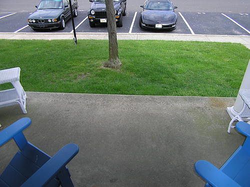 Additional Picture